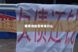 催收项目名称是什么