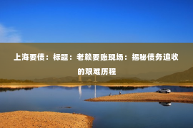 上海要债：标题：老赖要账现场：揭秘债务追收的艰难历程