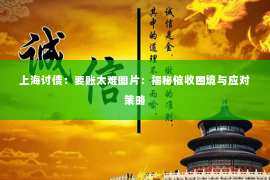 上海讨债：要账太难图片：揭秘催收困境与应对策略