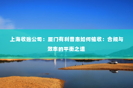 上海收账公司：厦门有利普惠如何催收：合规与效率的平衡之道