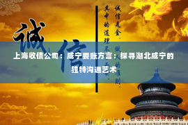 上海收债公司：咸宁要账方言：探寻湖北咸宁的独特沟通艺术