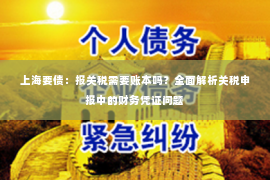 上海要债：报关税需要账本吗？全面解析关税申报中的财务凭证问题