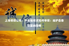 上海收债公司：不良催收该如何举报：维护自身权益的指南