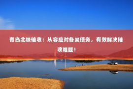 青岛北极催收：从容应对各类债务，有效解决催收难题！