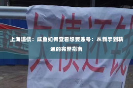 上海追债：咸鱼如何查看想要账号：从新手到精通的完整指南