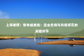 上海要债：督导组要账：企业合规与风险防范的关键环节