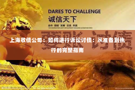 上海收债公司：如何进行诉讼讨债：从准备到执行的完整指南