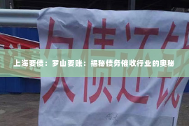 上海要债：罗山要账：揭秘债务催收行业的奥秘
