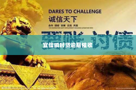 宜信瞬时贷逾期催收