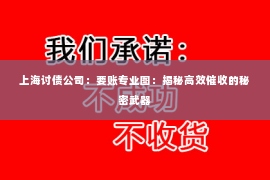 上海讨债公司：要账专业图：揭秘高效催收的秘密武器