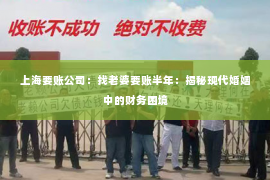上海要账公司：找老婆要账半年：揭秘现代婚姻中的财务困境