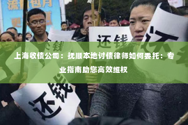 上海收债公司：抚顺本地讨债律师如何委托：专业指南助您高效维权