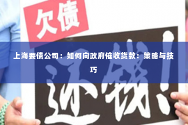 上海要债公司：如何向政府催收货款：策略与技巧