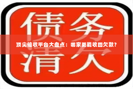 顶尖催收平台大盘点：哪家更能收回欠款？