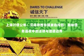 上海讨债公司：沈阳铁西张健要账拎包：揭秘债务追收中的法律与道德边界