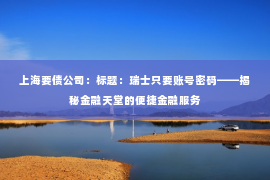 上海要债公司：标题：瑞士只要账号密码——揭秘金融天堂的便捷金融服务