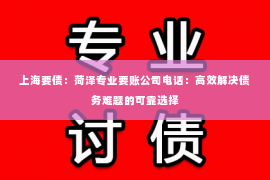 上海要债：菏泽专业要账公司电话：高效解决债务难题的可靠选择