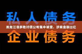 黑龙江省多地讨债公司集中被查，涉案金额过亿