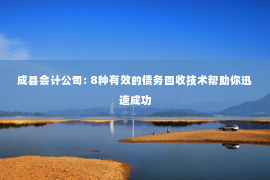 成县会计公司: 8种有效的债务回收技术帮助你迅速成功