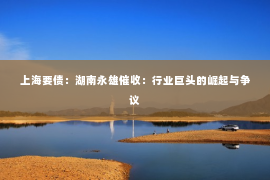 上海要债：湖南永雄催收：行业巨头的崛起与争议