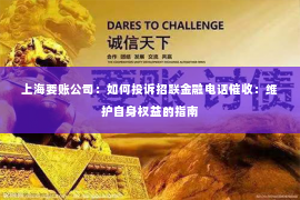 上海要账公司：如何投诉招联金融电话催收：维护自身权益的指南