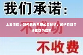上海清债：如何起诉网贷公司催收：维护自身合法权益的指南