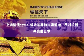 上海清债公司：催收逾期如何讲道理：从对抗到共赢的艺术