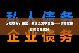 上海要账：标题：天津金叉子要账——揭秘高效债务回收策略