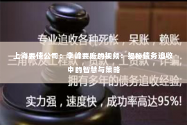 上海要债公司：李峰要账的视频：揭秘债务追收中的智慧与策略