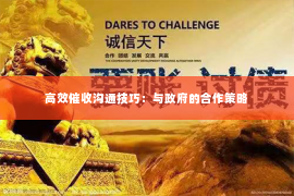 高效催收沟通技巧：与政府的合作策略