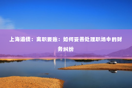上海追债：离职要账：如何妥善处理职场中的财务纠纷