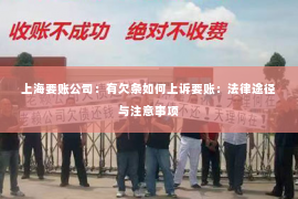 上海要账公司：有欠条如何上诉要账：法律途径与注意事项