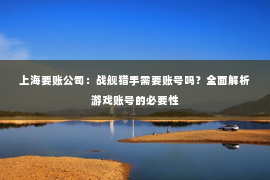 上海要账公司：战舰猎手需要账号吗？全面解析游戏账号的必要性