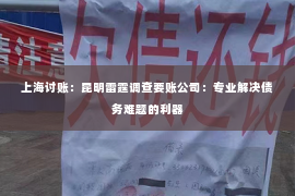 上海讨账：昆明雷霆调查要账公司：专业解决债务难题的利器