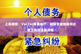 上海要债：Vector需要账户：揭秘矢量图编辑必备工具的注册流程