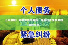 上海追债：弟弟给哥哥要账：家庭经济关系中的微妙平衡