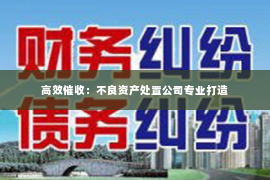 高效催收：不良资产处置公司专业打造