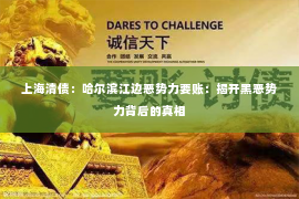 上海清债：哈尔滨江边恶势力要账：揭开黑恶势力背后的真相