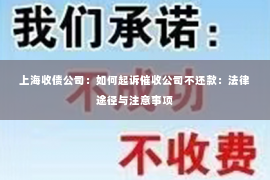 上海收债公司：如何起诉催收公司不还款：法律途径与注意事项