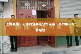 上海要债：天津调查要账公司电话：高效解决欠款难题