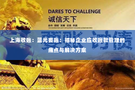 上海收账：蓝光要账：揭秘企业应收账款管理的痛点与解决方案