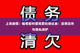 上海要债：催收如何查询到社保记录：法律边界与隐私保护
