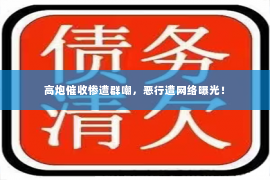 高炮催收惨遭群嘲，恶行遭网络曝光！