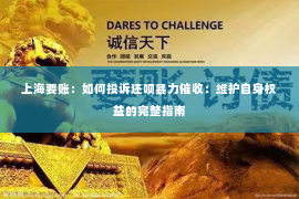 上海要账：如何投诉还呗暴力催收：维护自身权益的完整指南