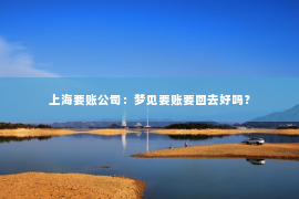 上海要账公司：梦见要账要回去好吗？