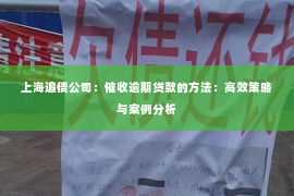 上海追债公司：催收逾期贷款的方法：高效策略与案例分析