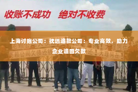 上海讨账公司：抚远追款公司：专业高效，助力企业追回欠款