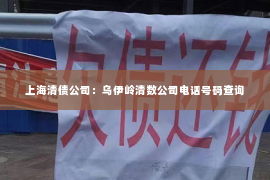 上海清债公司：乌伊岭清数公司电话号码查询