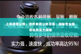上海收债公司：池州要债公司排名：揭秘专业催收机构实力榜单