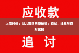 上海讨债：湖北襄阳网贷催收：现状、挑战与应对策略